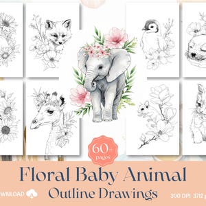 May include: A collection of digital outline drawings featuring baby animals with floral accents. The drawings include a rabbit, fox, elephant, penguin, puppy, chipmunk, giraffe, mouse, and kitten. The text reads "Floral Baby Animal Outline Drawings" and "60+ pages".