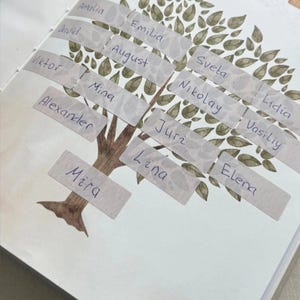Fünf transparente Vellum-Umschläge aus dem Babyalbum erstes Jahr – ideal zur Aufbewahrung von Erinnerungen wie Ultraschallbildern, Elternbriefen, Krankenhausbändchen, Haarlocke und Familienwünschen. Hochwertiges Zubehör des Premium Baby-Erinnerungsbuchs, perfekt für Babys erste Erinnerungen und als liebevolles Geschenk zur Geburt oder Babyparty. Zeigt das handgefertigte Vellum-Set, das jedes Babyalbum zu einem persönlichen Keepsake macht.