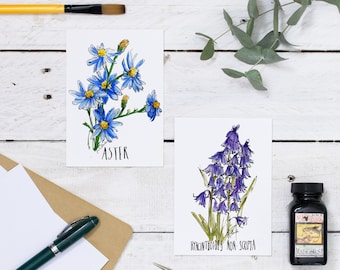 Floral Cards: Mother's day or Easter card with spring flowers. Blank greetings or note card watercolour crocus, snowdrop, bluebell or aster.