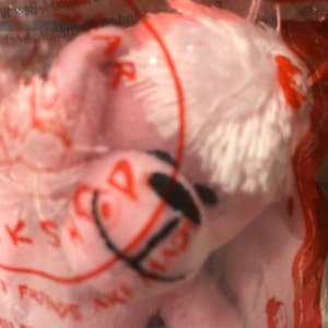 May include: Pink plush toy in a clear plastic bag. The toy is a poodle with a black nose and eyes. The bag has the text "FRI POODLE" on it.