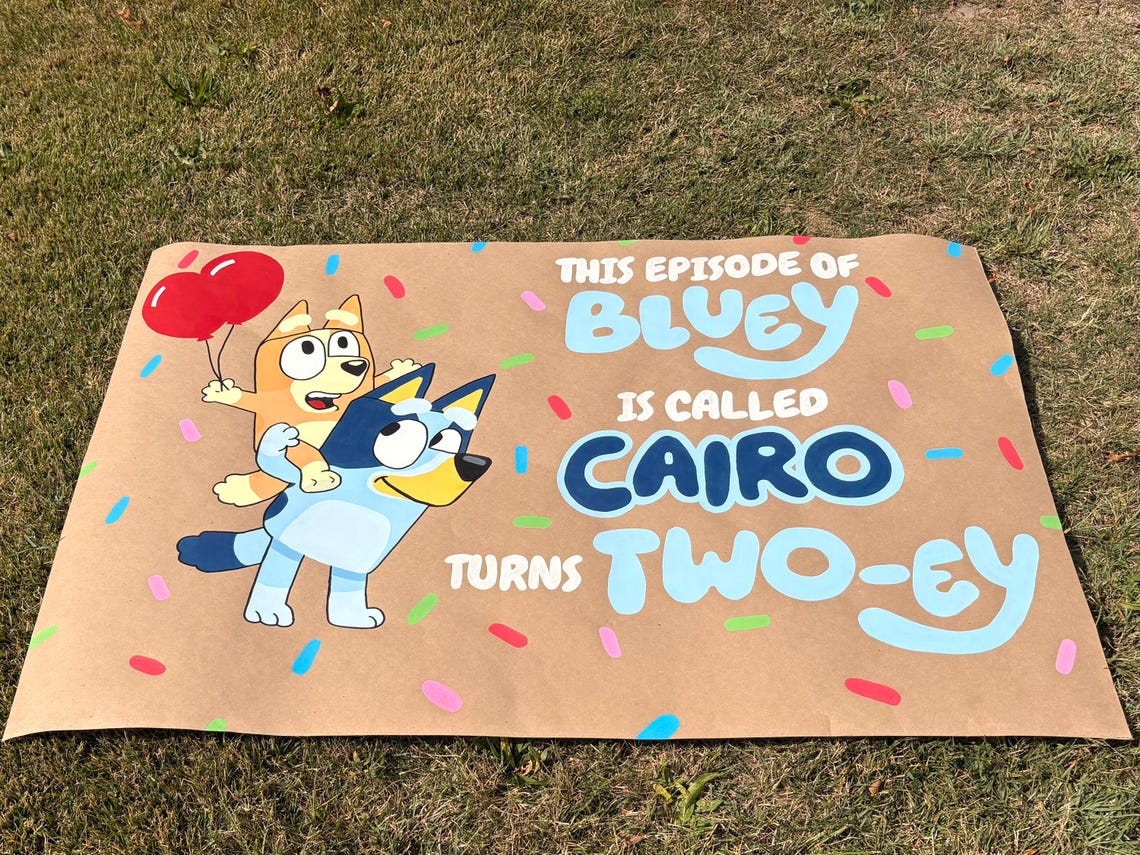 Hand-painted Custom Bluey Birthday Banner: Personalized Party Decor - Etsy