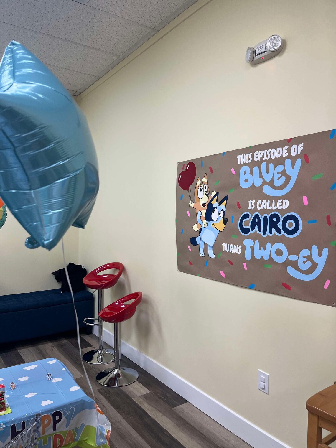 Hand-painted Custom Bluey Birthday Banner: Personalized Party Decor - Etsy