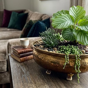 May include: A decorative brass planter filled with various plants and small stones. The planter sits on a wooden table next to a stack of books and a small cup. A large sectional sofa is in the background.
