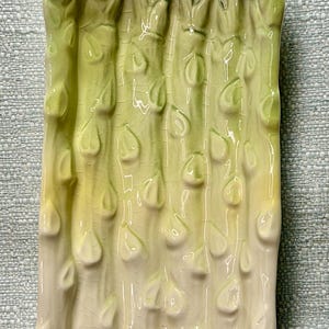 May include: A ceramic asparagus-shaped serving dish. The dish is primarily off-white with green and yellow accents, and a dark purple hue at the top. The design features a textured surface with droplet-shaped details, mimicking the appearance of asparagus.