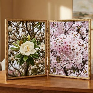 May include: A two-panel gold-framed photo display featuring floral images. One panel displays a white magnolia flower with green leaves, and the other shows pink cherry blossoms. The display sits on a wooden table.