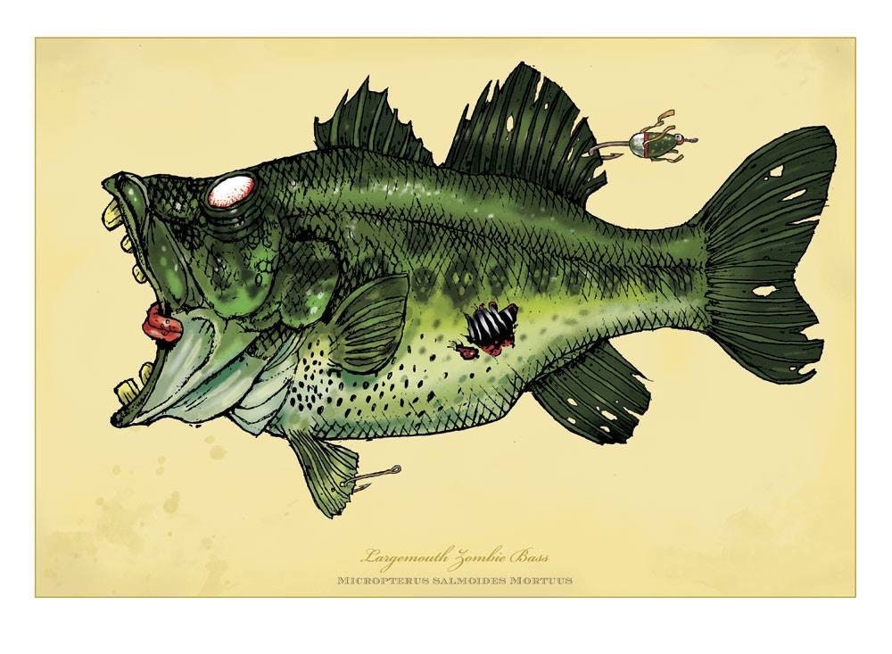 Largemouth Zombie Bass, Signed Print on Bright Paper Using Archival Ink