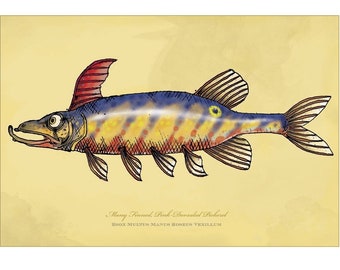 Many Finned, Pink Dorsaled Pickerel signed print on bright paper using archival ink. 12X18”. National Award Winning work by Rich Powell