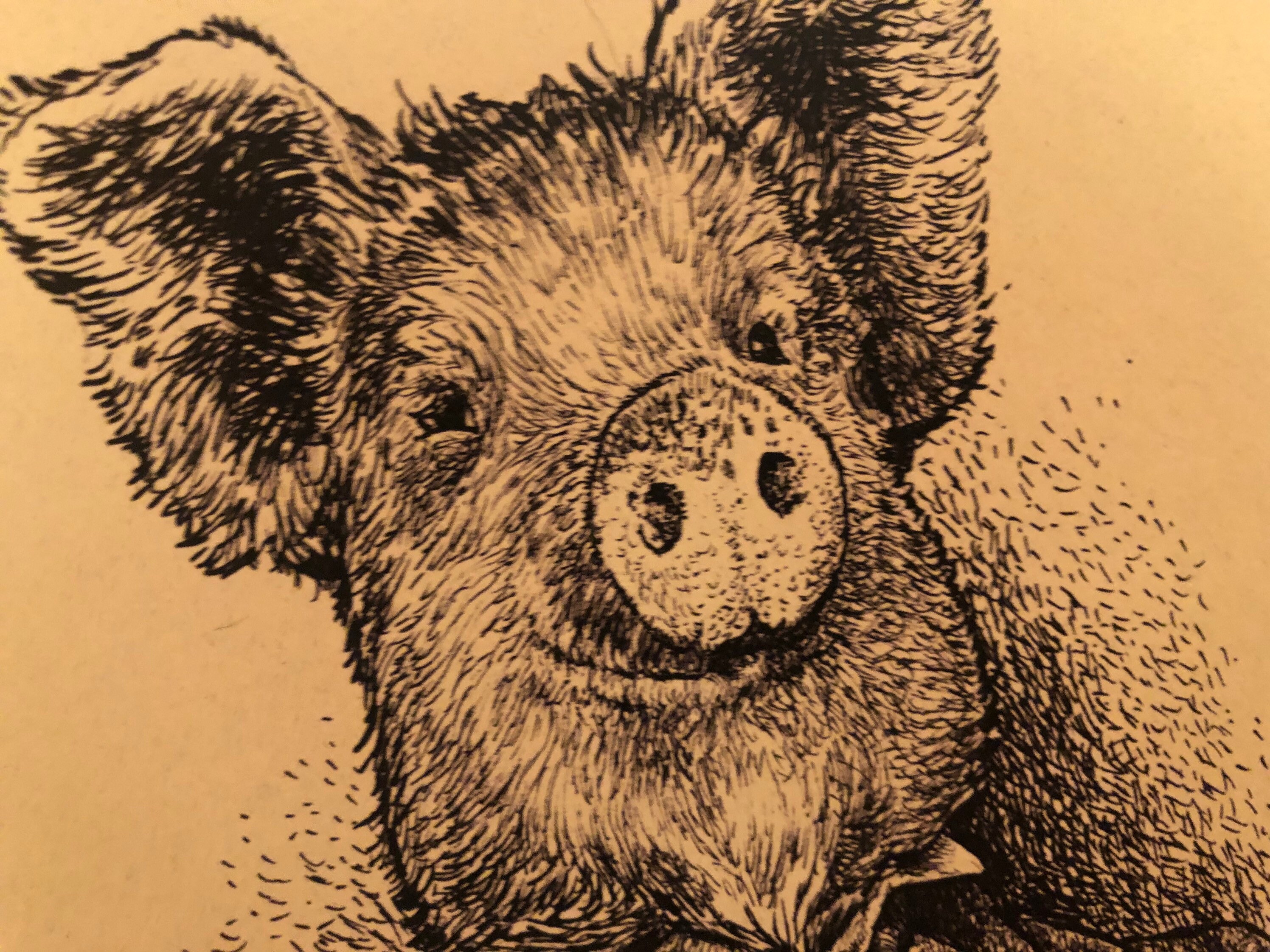 August Pig, Brick Merchant. 8X10 Signed Print - Etsy