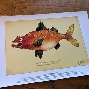 Red-Headed Screaming Snogfish signed print on bright paper using archival ink. 12X18. National Award Winning work by Rich Powell image 2