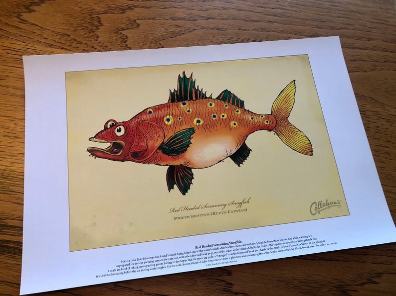 Red-Headed Screaming Snogfish signed print on bright paper using archival ink. 12X18. National Award Winning work by Rich Powell image 2