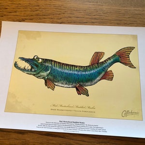 May include: A print of a Mad, Mustachioed, Muddled Muskie fish illustration. The fish is green and blue with a large mouth and cartoonish eyes. The print has text at the bottom and the artist's signature in the lower right corner.