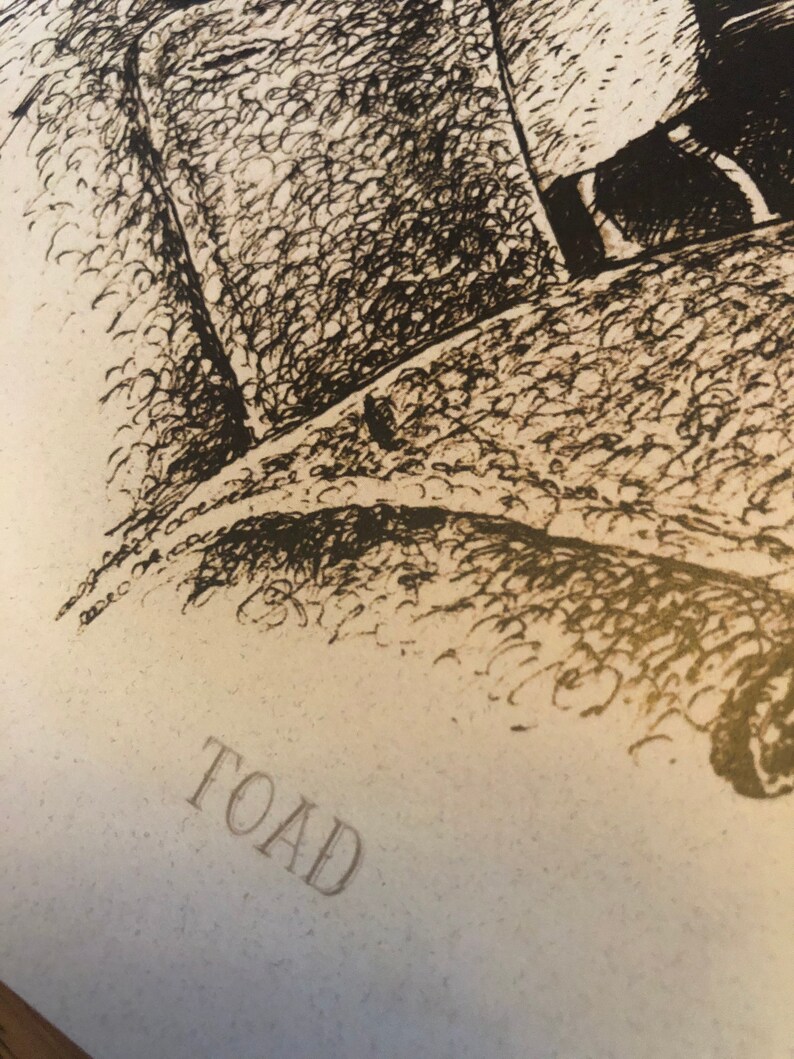 Mr. Toad 8X10 Signed Print on Heavy Stock Paper. - Etsy