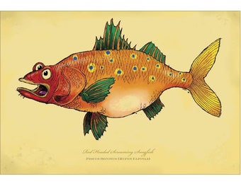 Red-Headed Screaming Snogfish signed print on bright paper using archival ink. 12X18”. National Award Winning work by Rich Powell