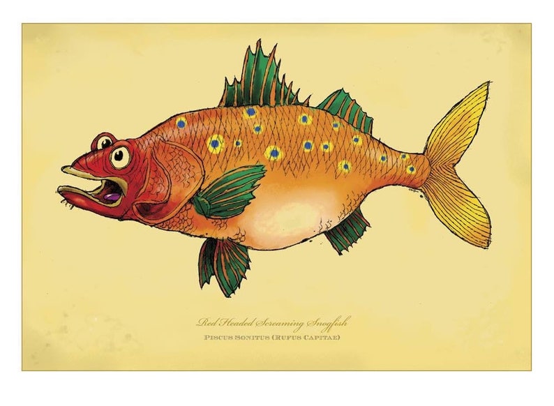 Red-Headed Screaming Snogfish signed print on bright paper using archival ink. 12X18. National Award Winning work by Rich Powell image 1