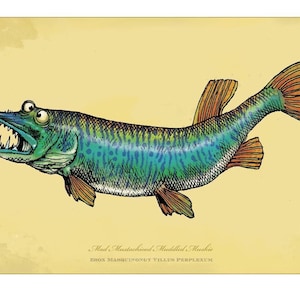Mad Muskie Art Print: Signed Fish Illustration (12x18)