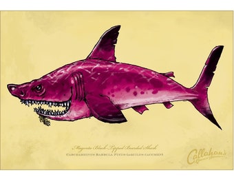 Magenta, Black-Tipped, Bearded Shark signed print on bright paper using archival ink. 12X18”. National Award Winning work by Rich Powell