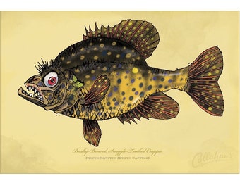 Bushy-Browed Snaggle-Toothed Crappie signed print on bright paper using archival ink. 12X18”. National Award Winning work by Rich Powell