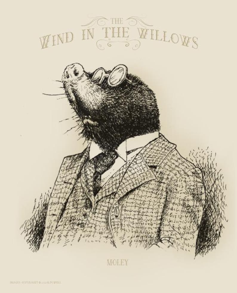 Wind in the Willows Set 8X10 Signed Prints - Etsy