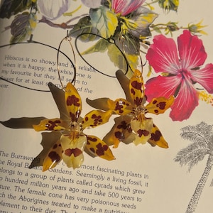 Può includere: Un paio di orecchini fatti a mano con fiori di orchidea gialli e marroni. Gli orecchini sono sospesi ad anelli color oro. I fiori hanno un motivo maculato dettagliato. Gli orecchini sono esposti su un libro con illustrazioni floreali.