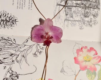 Puede incluir: Un delicado collar con un colgante de orquídea rosa preservada. El colgante está suspendido de una fina cadena dorada. El collar se muestra en una página con ilustraciones florales y texto.
