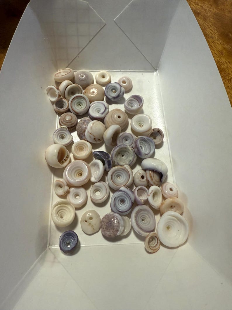 50 Natural Hawaiian Puka Shells – Genuine Beach Finds “puka SHELLS” - Etsy