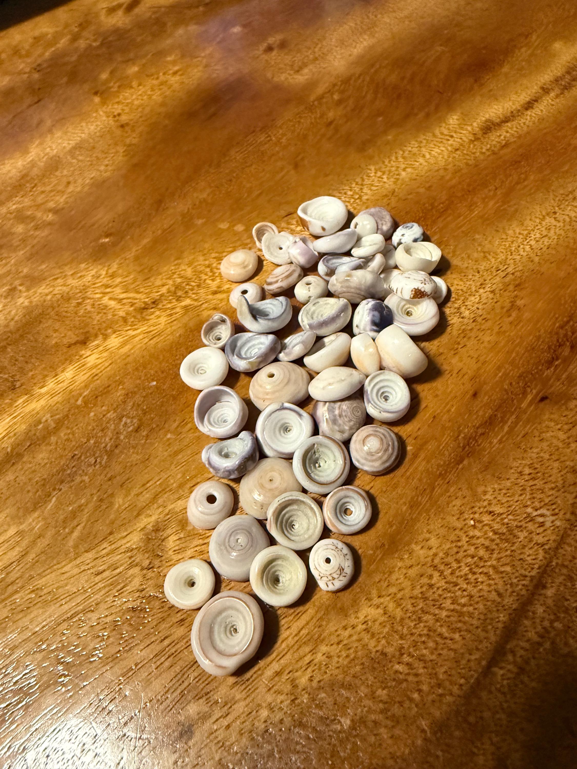 50 Natural Hawaiian Puka Shells – Genuine Beach Finds “puka SHELLS” - Etsy