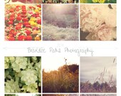 2014 Nature Calendar, 5x7 Calendar, Landscape, Flowers, Photo Set, Home Decor, Seasons, Customizable