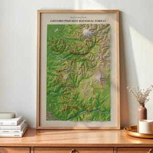 May include: A framed topographic map print of the Gifford Pinchot National Forest in Washington, featuring detailed green terrain, mountain peaks, and red boundary lines, presented in a light wood frame with a clean, neutral border.