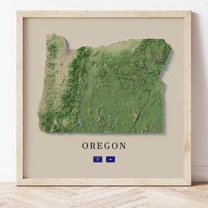 May include: A framed print showing a 3D topographic map of Oregon, displaying the state's landscape in green and brown hues. The word "OREGON" is printed beneath the map, with two small blue and gold flags. The frame is a light wood colour.
