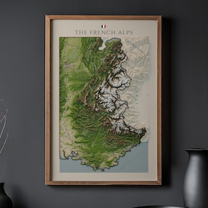 Op de afbeelding: Een ingelijste topografische kaartprint getiteld THE FRENCH ALPS met een gedetailleerd reliëf van het gebergte met groene valleien, besneeuwde toppen en gelabelde grenzen voor Italië en Zwitserland, geplaatst in een lichtbruine houten lijst.