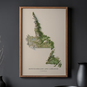 May include: A framed wall art print featuring a detailed, textured topographical map of Newfoundland and Labrador, Canada. The map displays green and brown terrain against a light beige background, with the text NEWFOUNDLAND AND LABRADOR CANADA.