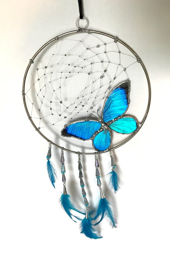 Butterfly Dream Catcher with Real Preserved Blue Morpho Etsy