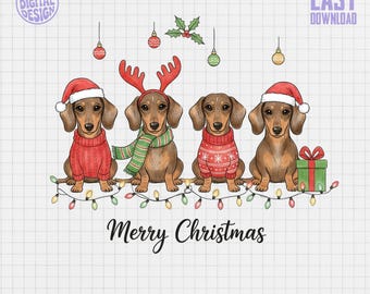 May include: Digital illustration of four dachshunds dressed for Christmas. Each dog wears a festive outfit, including Santa hats, reindeer antlers, and sweaters. The words "Merry Christmas" are written below the dogs, with Christmas lights.