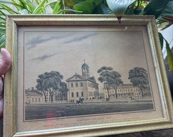 Harvard College 1828Harvard Hall Lemon Gold BORGHESE Rahmen Druck 13,5 X 10,5