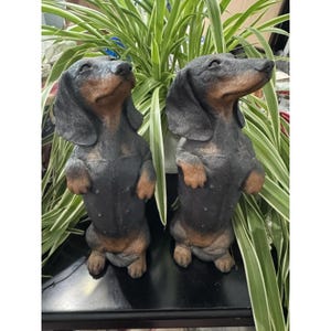 Sandicast dachshund - Etsy 日本