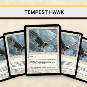 Tempest Hawk MTG Proxy Set 18 Cards | Flying Creature Tribal Casual Commander EDH | Dark Fantasy 90s Retro Art Magic