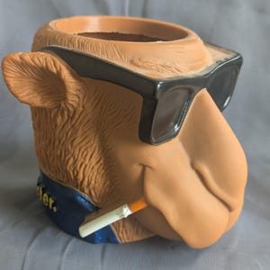 Joe Camel Koozie