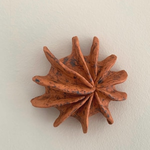 Op de afbeelding: Een keramische sculptuur met een stervormig ontwerp. De sculptuur heeft een warme oranje kleur met donkergrijze spikkels. Het stuk heeft een textuuroppervlak en is op een witte muur gemonteerd.