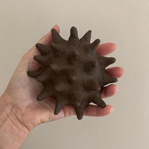 Op de afbeelding: Een donkerbruin, bolvormig object met een getextureerd, mat oppervlak en talrijke uitstekende, puntige stekels die vanuit het midden naar buiten wijzen. Het item heeft een ruw, aards uiterlijk en een solide, stervormige geometrische vorm.
