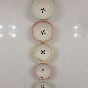 Pu&ograve; includere: Un set di quattro ciotole dosatrici in ceramica a forma di mela, impilate verticalmente. Le ciotole sono bianche con bordi color pastello e dettagli di semi neri. Ogni ciotola &egrave; etichettata con una frazione di tazza.