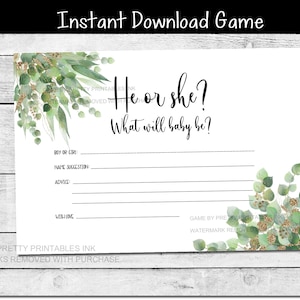 Gender Guess Baby Shower Game, Gender Reveal Game, Guess the Gender Card, He or She Game, Baby Guessing Game, What Will Baby Be Game