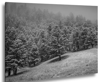Yellowstone National Park Print | First Snow Fine Art Landscape Photography | Nature Wall Art
