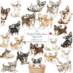 20 speelse chihuahua-clipartset, schattige puppy png, happy dog-clipart, kleine hondillustraties, afdrukbare en sublimatie, huisdier clipart