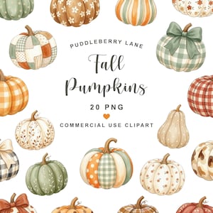 May include: A collection of twenty digital pumpkin illustrations featuring various patterns including plaid, gingham, polka dots, and floral designs in shades of orange, green, and cream, with the text PUDDLEBERRY LANE Fall Pumpkins 20 PNG.