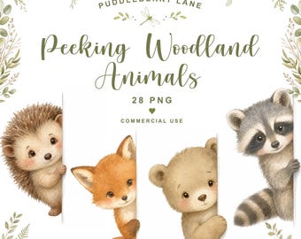 Pacote de imagens PNG de animais da floresta espiando, clipart para convite de chá de bebê com tema floresta, gráficos para quarto de bebê com tema floresta, decoração de aniversário com tema floresta