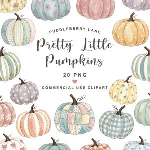 Op de afbeelding: Een verzameling van twintig digitale aquarel pompoenillustraties met diverse patronen zoals bloemen, ruiten, vichy, stippen, sterren en strikken in zachte pastelkleuren met de tekst PUDDLEBERRY LANE Pretty Little Pumpkins 20 PNG.