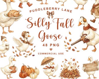 Clipart-Bundle „Lustige Gans“ (PNG), Herbstgans, Gänse-Clipart, Herbsttiere-Clipart, eine lustige Gans-Clipart, digitaler Download, kommerzielle Nutzung