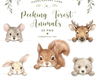 PNG-Bundle mit Waldtieren, Cliparts für Geburtstagseinladungen im Wald-Stil, Grafiken fürs Kinderzimmer im Wald-Stil, Dekoration für Babypartys mit Waldtiermotiven