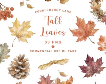 Herbstblätter-Aquarell-Cliparts, Herbstblätter-PNG, Herbst-Cliparts & Herbst-PNG-Dateien, Herbst-Aquarellillustration, digitaler Herbst-Download