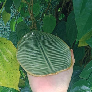May include: A green ceramic leaf-shaped dish with a textured surface and a brown rim. The dish is held in a hand against a backdrop of green leaves. The dish is approximately 18 cm long, suggesting a nature-inspired theme.